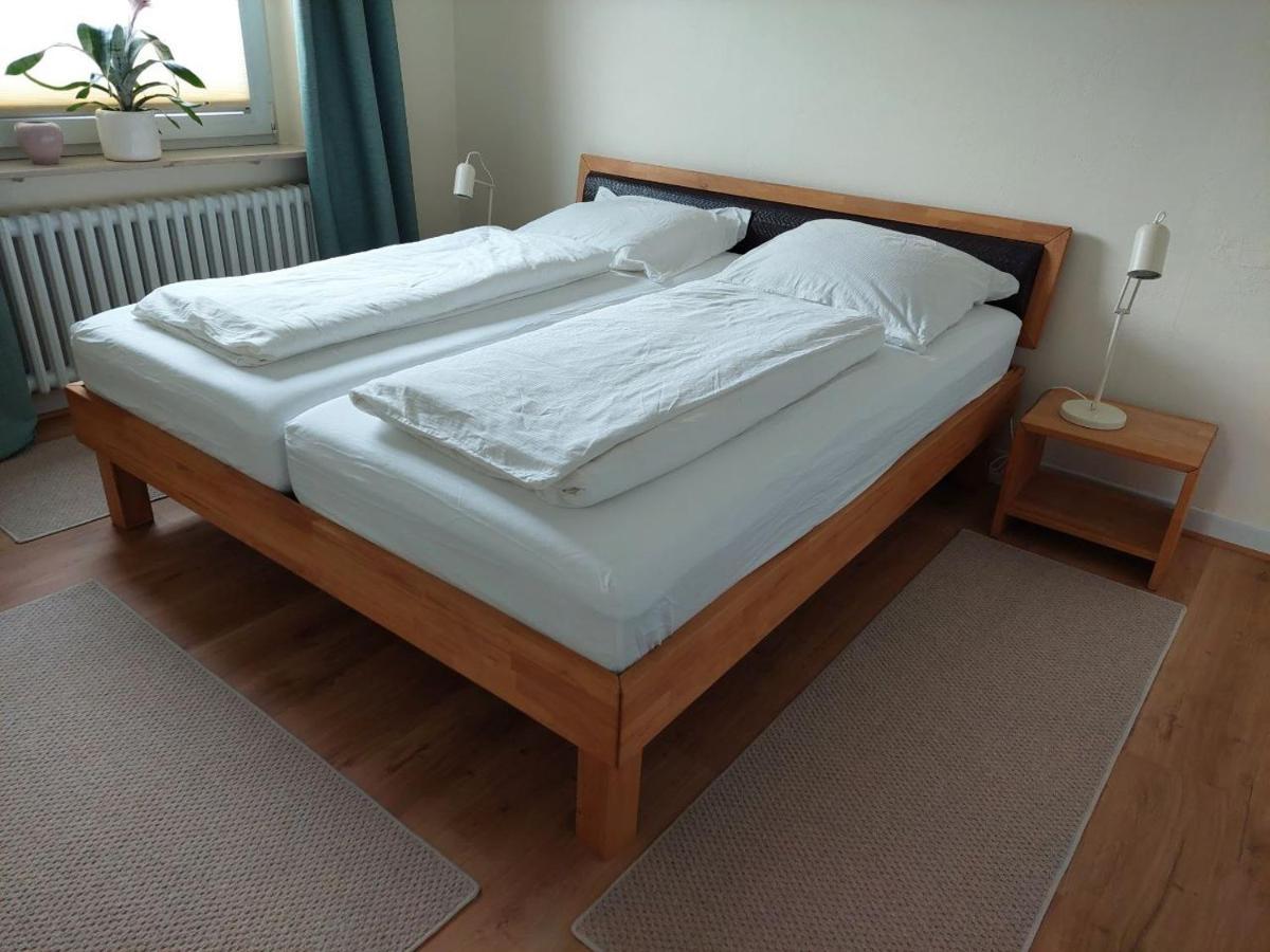 Apartment Lojane *